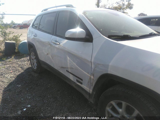 1C4PJMCS9HW561015 Jeep Cherokee 75th Anniversary