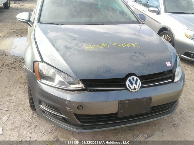 3VW217AU5HM008083 Volkswagen Golf Trendline/highline