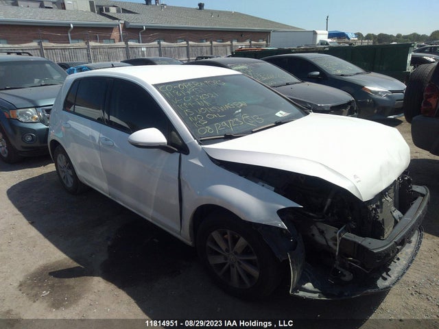 3VW217AU6FM058021 auction archive image