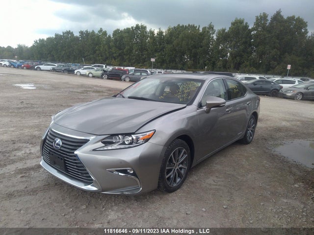 JTHBW1GG9J2166702 Lexus Es Es 300h