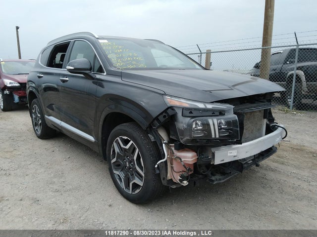 Hyundai Santa Fe Ultimate Calligraphy 2021 5NMS5DAL2MH313843 main image