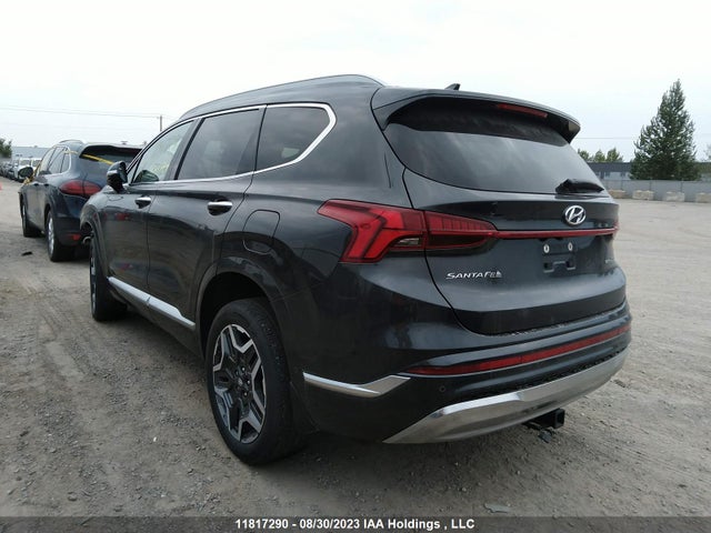 Hyundai Santa Fe Ultimate Calligraphy 2021 5NMS5DAL2MH313843 Image 3