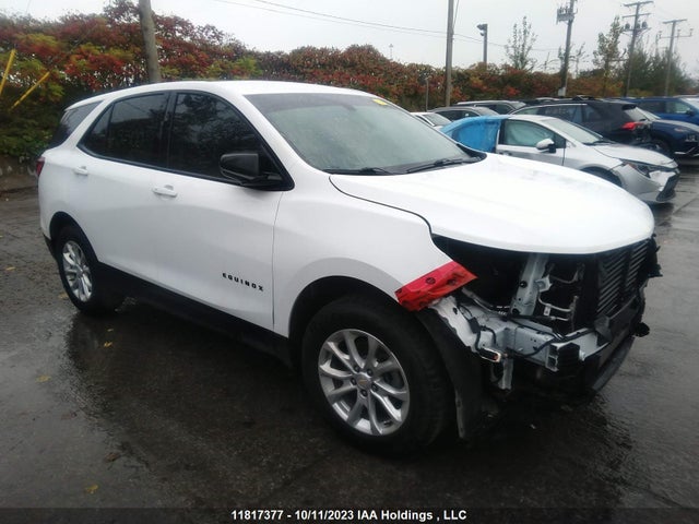 Chevrolet EQUINOX LS 2019 2GNAXSEV4K6137900 Image 1
