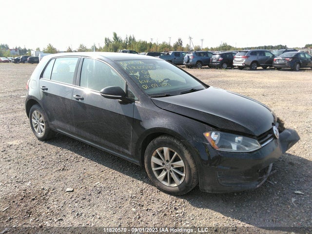 3VW217AU6FM085123 auction archive image