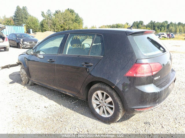 3VW217AU6FM085123 Volkswagen Golf Trendline/highline