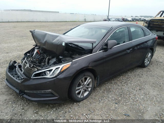Hyundai Sonata 2.4l Gl 2016 5NPE24AF0GH267002 Image 2