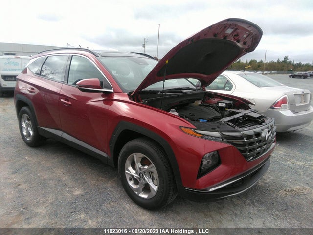 2023 KM8JCCAE6PU235265 главное изображение