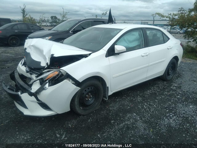 Toyota COROLLA CE/S/LE 2016 2T1BURHE9GC532803 Image 2