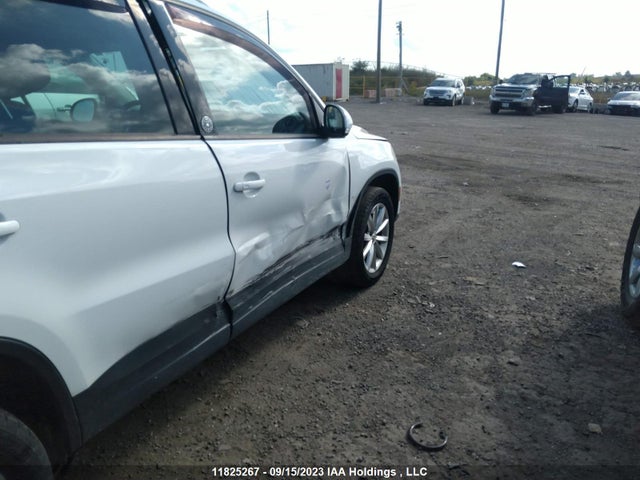 WVGNV7AX6HK027601 Volkswagen Tiguan Wolfsburg Edition