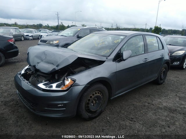 3VW217AU2HM008834 Volkswagen Golf Trendline/highline