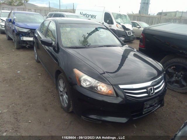 2011 Honda Accord Sedan Ex-l მანქანა იყიდება აუქციონზე, vin: 1HGCP2F89BA800117, აუქციონის ნომერი: 11828604