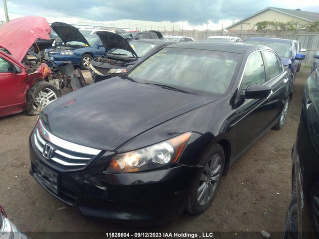 2011 Honda Accord Sedan Ex-l მანქანა იყიდება აუქციონზე, vin: 1HGCP2F89BA800117, აუქციონის ნომერი: 11828604