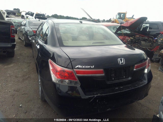 2011 Honda Accord Sedan Ex-l მანქანა იყიდება აუქციონზე, vin: 1HGCP2F89BA800117, აუქციონის ნომერი: 11828604