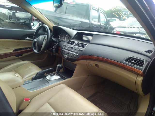 2011 Honda Accord Sedan Ex-l მანქანა იყიდება აუქციონზე, vin: 1HGCP2F89BA800117, აუქციონის ნომერი: 11828604