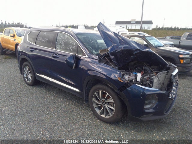 2019 5NMS3CAD8KH039487 главное изображение