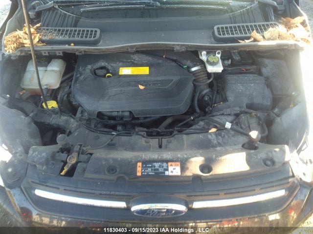 Ford ESCAPE SE 2016 1FMCU0GX2GUC14507 Image 10