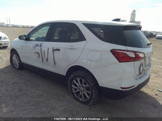 Chevrolet EQUINOX LS 2019 2GNAXSEV9K6295634 Image 3