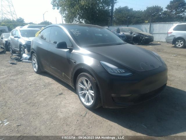 Продажа на аукционе авто 2021 Tesla Model Y Long Range, vin: 5YJYGDEE6MF203315, номер лота: 11833254
