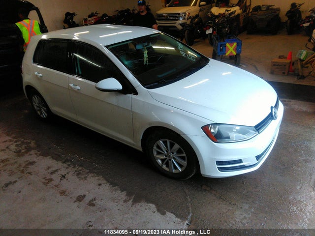 3VW217AU5FM006461 auction archive image