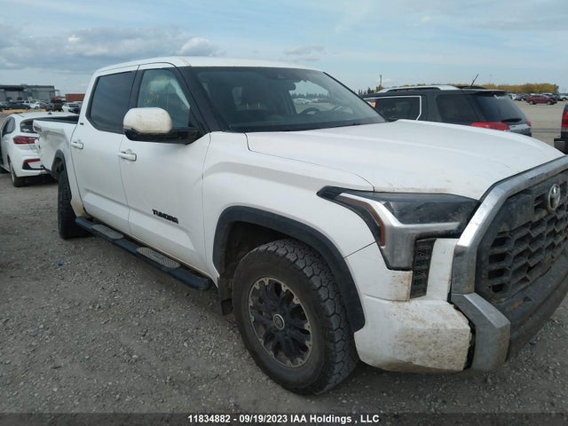 Toyota Tundra Sr/sr5 2022 5TFLA5DB4NX041474 Image 1