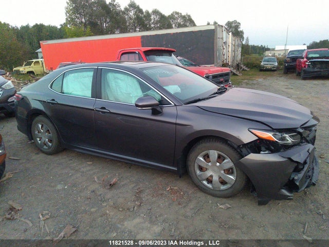 Toyota Camry Le/se/xle 2019 4T1B11HK2KU250395 main image