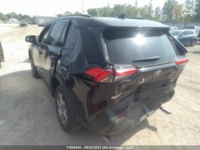 Toyota Rav4 Xle 2023 2T3R1RFV2PC369980 Image 3
