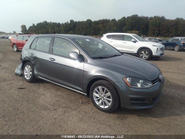 3VW217AUXGM053664 auction archive image