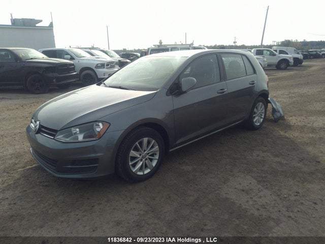 3VW217AUXGM053664 Volkswagen Golf Trendline/highline