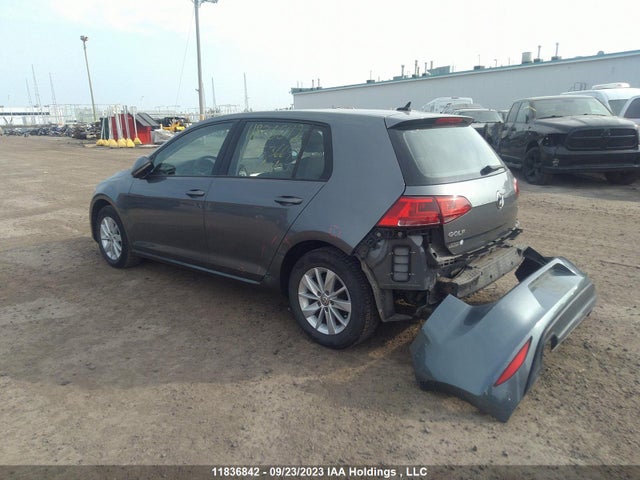 3VW217AUXGM053664 Volkswagen Golf Trendline/highline