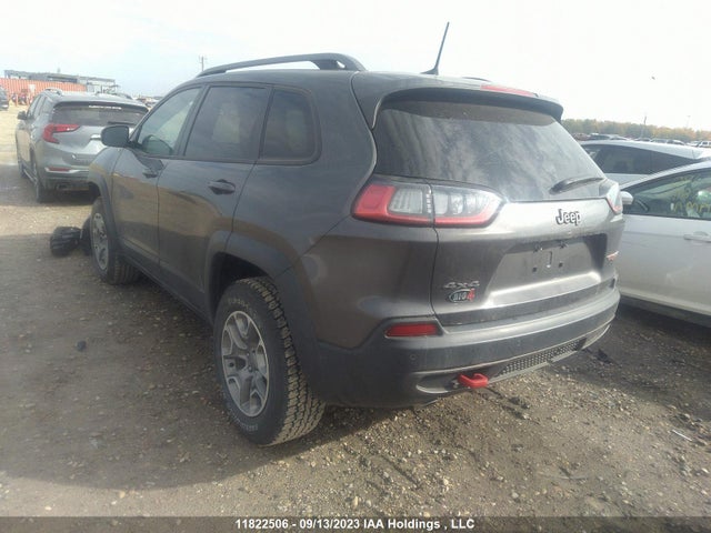 1C4PJMBX9LD644980 Jeep Cherokee Trailhawk