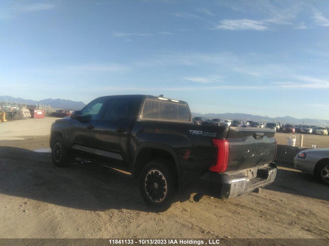 Toyota Tundra Sr/sr5 2022 5TFLA5DB2NX009512 Image 3