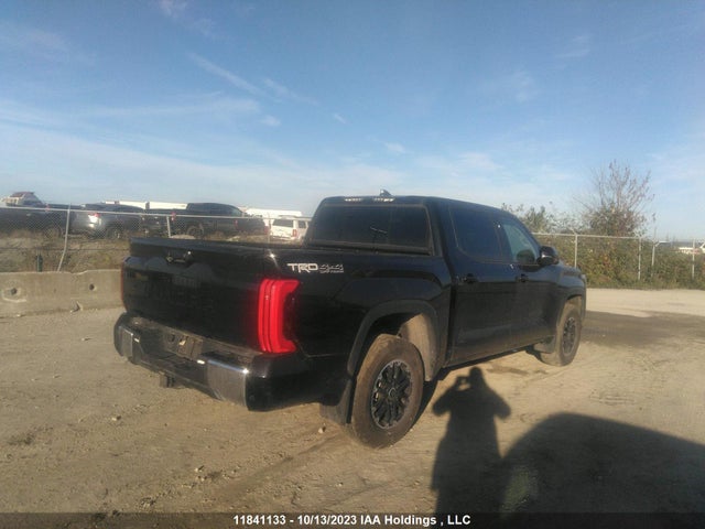 Toyota Tundra Sr/sr5 2022 5TFLA5DB2NX009512 Image 4
