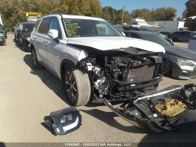 Hyundai Palisade Luxury 2020 KM8R3DHE2LU049411 main image
