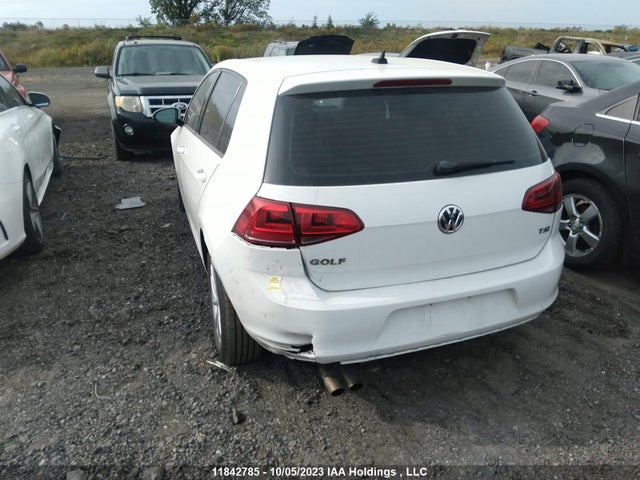 3VW117AU1GM016238 Volkswagen Golf Trendline/highline