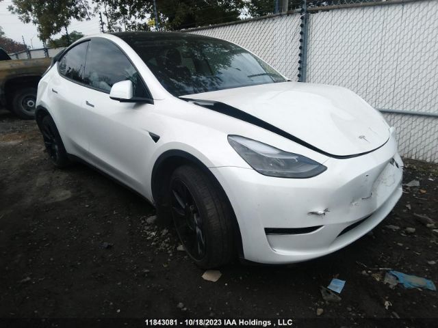 Продажа на аукционе авто 2023 Tesla Model Y Long Range, vin: 7SAYGDEE2PF771780, номер лота: 11843081