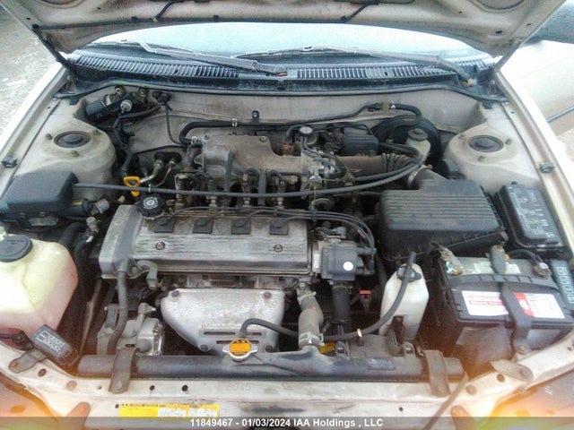 11849467 :رقم المزاد ، 2T1BA05E5TC136371 vin ، 1996 Toyota Corolla Dx مزاد بيع