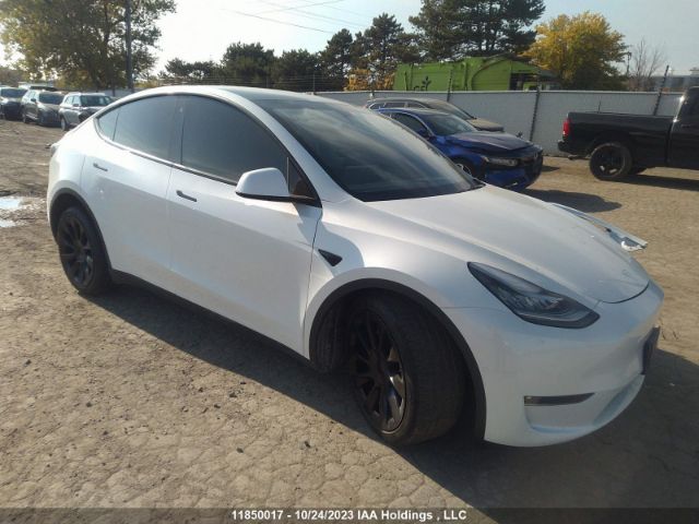 Продаж на аукціоні авто 2021 Tesla Model Y Long Range, vin: 5YJYGAEE9MF241765, номер лоту: 11850017