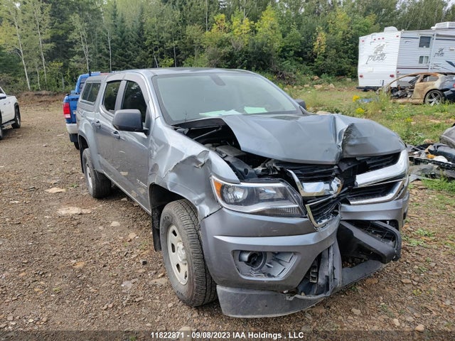 Chevrolet Colorado 4wd Work Truck 2019 1GCGTBEN2K1254487 головне зображення