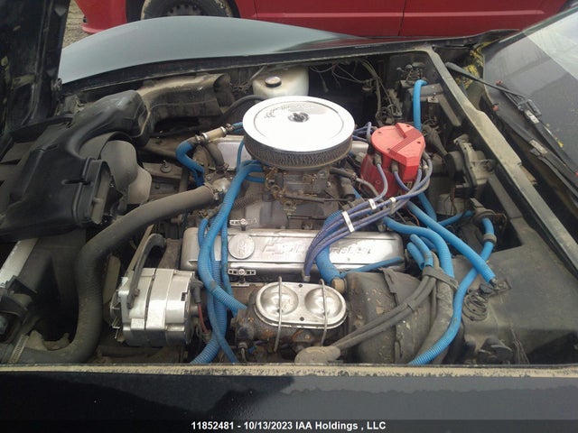 11852481 :رقم المزاد ، 1Z878AS429878 vin ، 1980 Chevrolet Corvette مزاد بيع