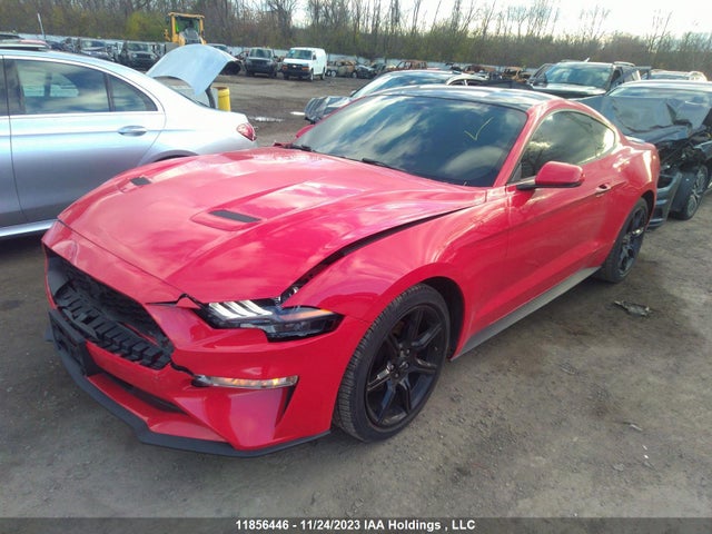 2019 Ford Mustang Ecoboost მანქანა იყიდება აუქციონზე, vin: 1FA6P8TH4K5102807, აუქციონის ნომერი: 11856446