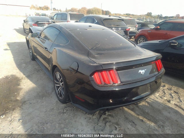 Ford Mustang Ecoboost 2017 1FA6P8TH9H5200529 Image 3