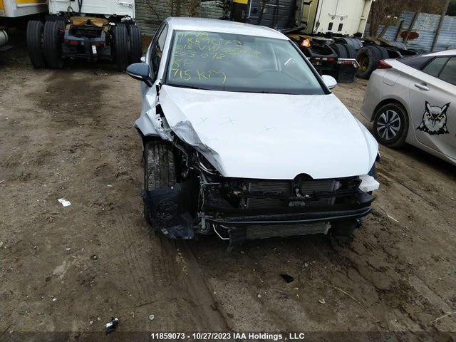3VWG17AUXJM263078 Volkswagen Golf Trendline/comfortline