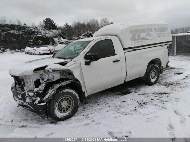 Chevrolet Silverado 1500 Work 2019 3GCNYAEF4KG220337 Image 2