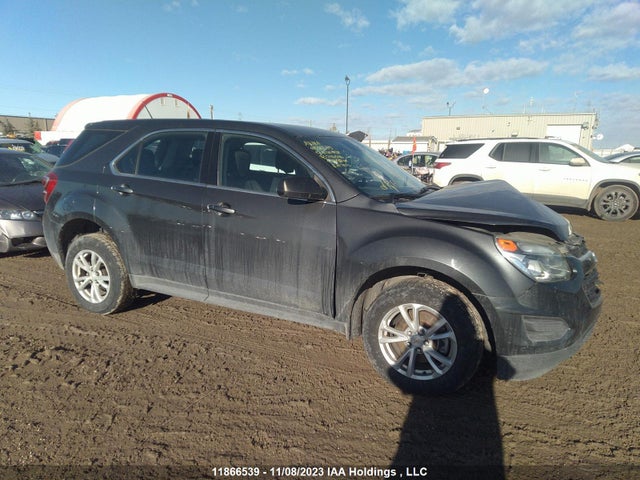 Chevrolet EQUINOX LS 2017 2GNFLEEK9H6346566 main image