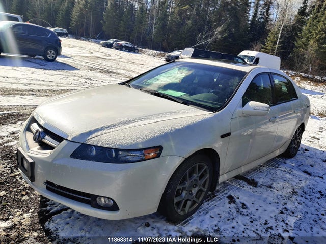 Auction sale of the 2008 Acura Tl, vin: 19UUA76518A801151, lot number: 11868314