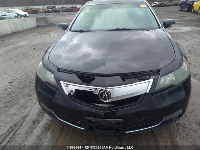 Продажа на аукционе авто 2013 Acura Tl, vin: 19UUA8F27DA800026, номер лота: 11869664