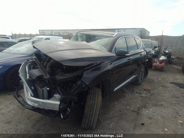 Hyundai Santa Fe Calligraphy 2022 5NMS5DAL4NH441566 Image 2