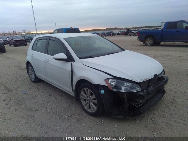 3VW217AU4GM033460 auction archive image