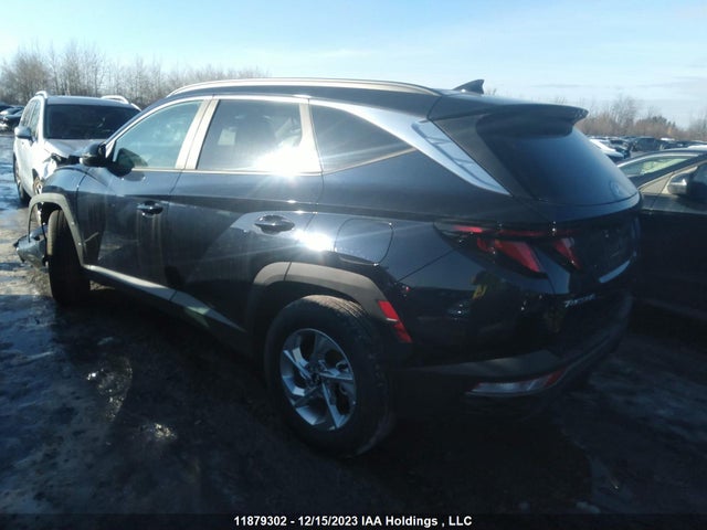 Hyundai TUCSON SEL 2023 KM8JBCAE4PU222520 Image 3