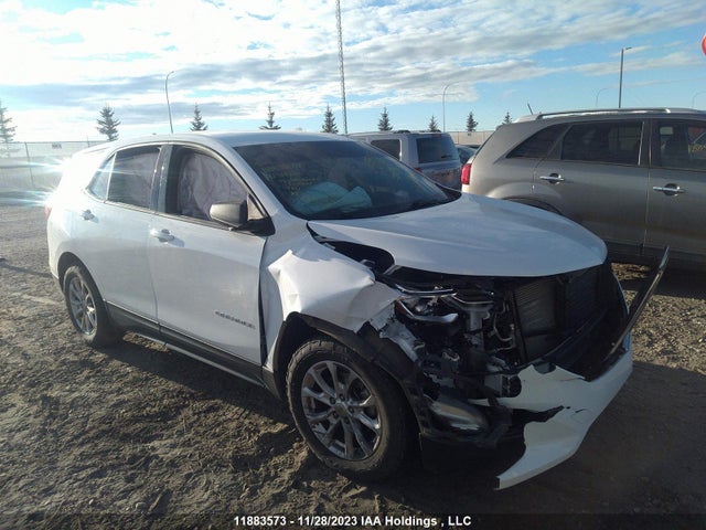 Chevrolet EQUINOX LS 2018 2GNAXREV7J6318691 zdjęcie główne